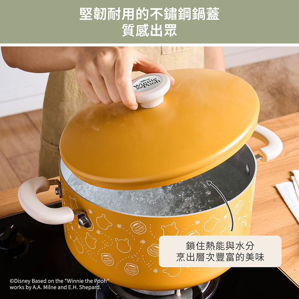 15177_MEY_MDI_24cm 5.2L Stockpot_Product Gallery_Editable